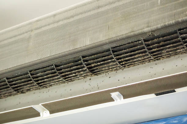 Best HVAC Air Duct Cleaning  in Chelsea, MI